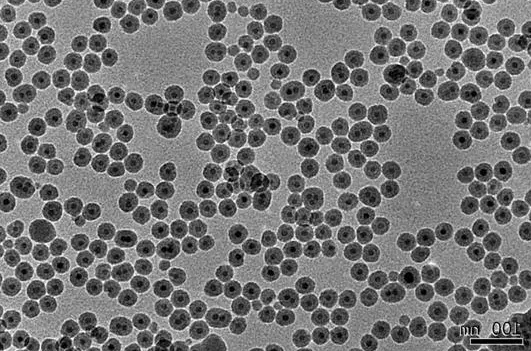 油溶性上转换纳米颗粒 Oil dispersible upconverting nanoparticles