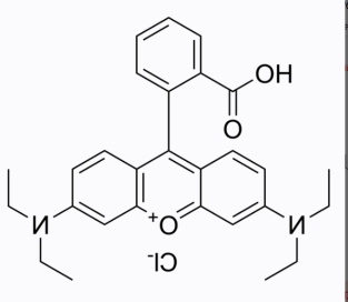 喜树碱-聚乙二醇-罗丹明B