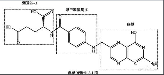 叶酸-PEG-喜树碱 叶酸-PEG-喜树碱