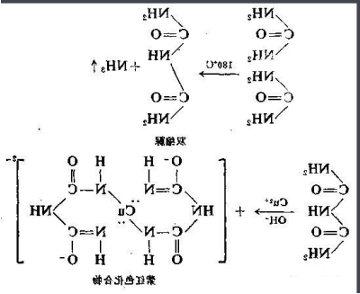 环丙沙星-聚乙二醇-卵清蛋白