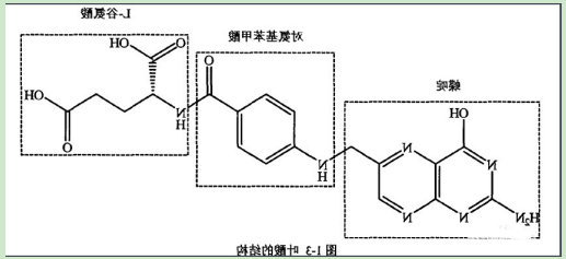 甲硝唑-聚乙二醇-叶酸