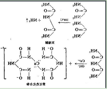 甲硝唑-聚乙二醇-卵清蛋白