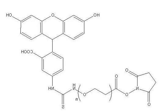 FITC-PEG-NHS，Fluorescein PEG2000 NHS，荧光素聚乙二醇-N-羟基琥珀酰亚胺