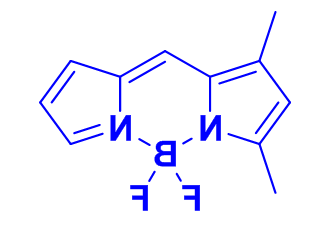 Bodipy499/510荧光染料，cas154793-49-4，1,3-二甲基-BODIPY