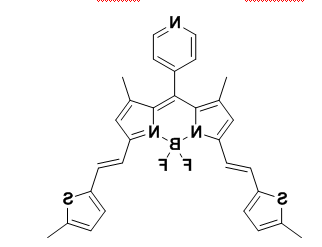 Bodipy-665/690 氟硼二吡咯(BODIPY)类荧光染料 BDP-665/690 Bodipy-665/690 氟硼二吡咯(BODIPY)类荧光染料 BDP-665/690