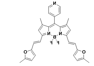 Bodipy-670/700 氟硼二吡咯(BODIPY)类荧光染料 BDP-670/700 Bodipy-670/700 氟硼二吡咯(BODIPY)类荧光染料 BDP-670/700