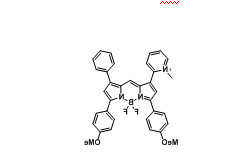 Bodipy650/686 cas 2379639-15-1 氟硼二吡咯(BODIPY)类荧光染料 Bodipy650/686 cas 2379639-15-1 氟硼二吡咯(BODIPY)类荧光染料