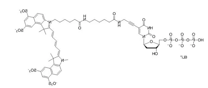 Sulfo-Cyanine5 dUTP，水溶性Cy染料，一种改良的核苷三磷酸，用于DNA酶标记