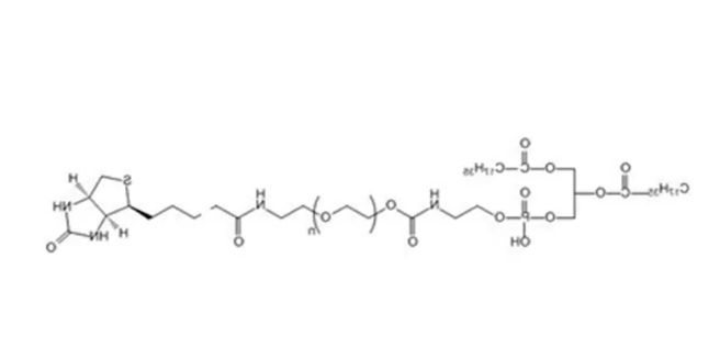 385437-57-0，Biotin-PEG-DSPE，生物素聚乙二醇磷脂，DSPE-PEG-BIO，功能性磷脂PEG衍生物