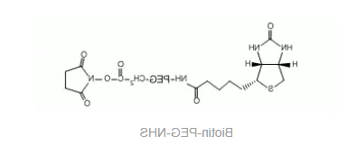 Biotin-PEG-NHS，生物素-聚乙二醇-活性酯，NHS-PEG2000-Biotin，PEG衍生物的一种