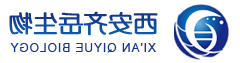 阿奇霉素-聚乙二醇-谷氨酸 