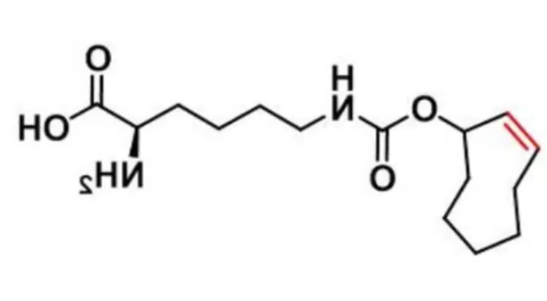 cas：1580501-94-5，N-(2E)-TCO-L-lysine，分子量，分子式，纯度 介绍--西安齐岳生物