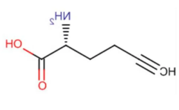 L-Homopropargylglycine (HPG)