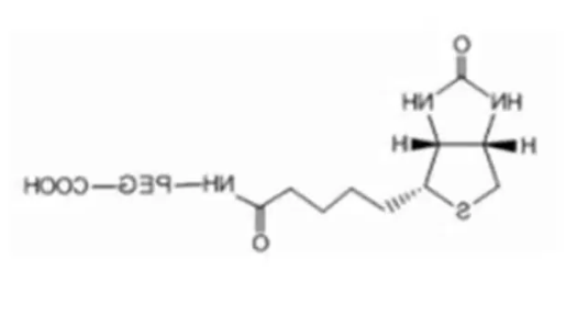 Biotin-PEG-COOH,MW:2k，一种含有生物素和羧酸的线性杂双功能PEG试剂，粘稠液体或者固体粉末，取决于分子量