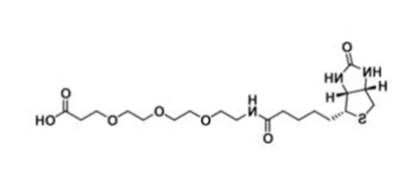 Biotin-PEG3-acid，，生物素-PEG3-羧酸，Biotin-PEG3-COOH，生物素化试剂，可与胺附着分子反应