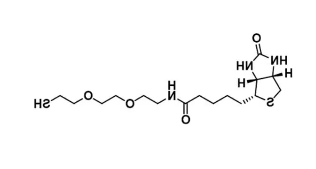 Biotin-PEG2-SH，生物素-二聚乙二醇-巯基,Biotin-PEG2-Thiol 是一种 PROTAC linker，属于 PEG 类