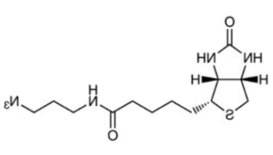 Biotin-Azide，Biotin-PEG4-Amine-C6-Azide，CAS：908007-17-0/1006592-62-6，叠氮生物素可通过铜催化的点击反应与末端炔烃反应