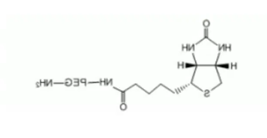 Biotin-PEG-NH2 Biotin-PEG-NH2