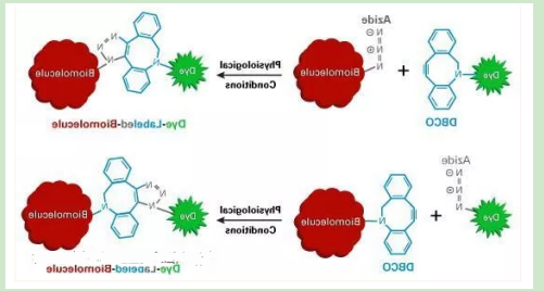 sulfadimethoxine-PEG-DBCO sulfadimethoxine-PEG-DBCO