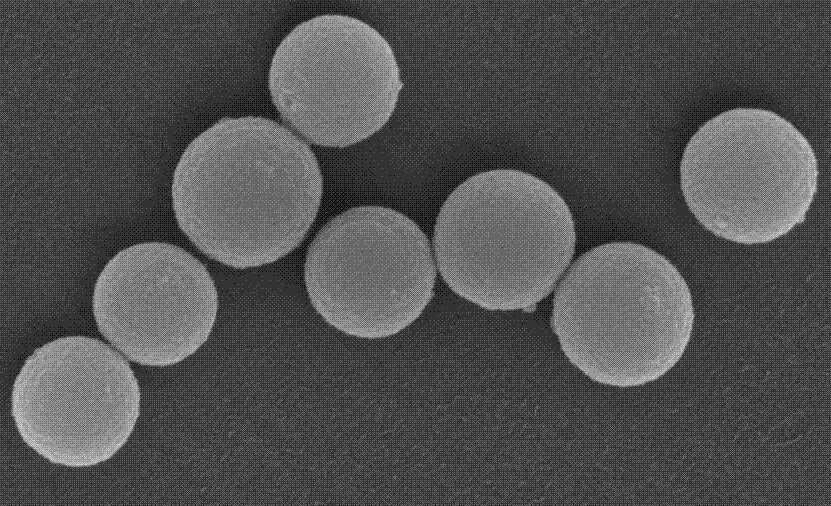 Amino polystyrene red fluorescent microsphere 200nm