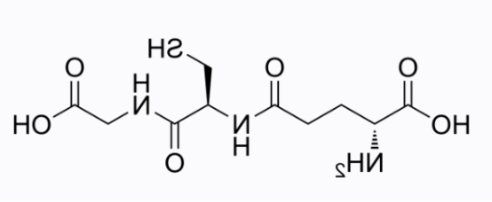 cas:70-18-8 L-Glutathione reduced 