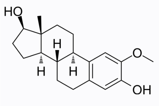 2-Methoxyestradiol 2-Methoxyestradiol
