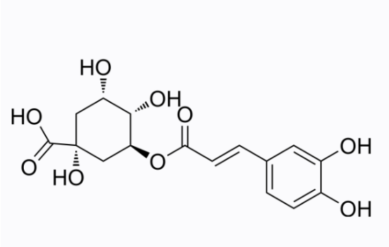 Chlorogenic acid 绿原酸 