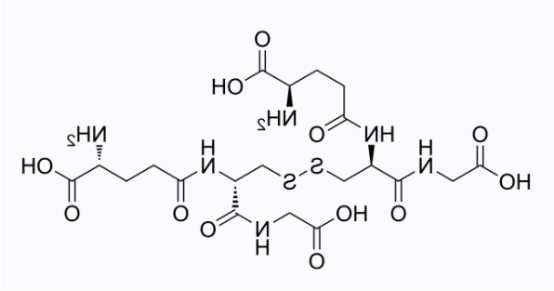 cas:27025-41-8 Glutathione oxidized cas:27025-41-8 Glutathione oxidized