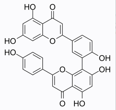 cas:1617-53-4 Amentoflavone cas:1617-53-4 Amentoflavone