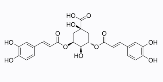 cas:2450-53-5 Isochlorogenic acid A