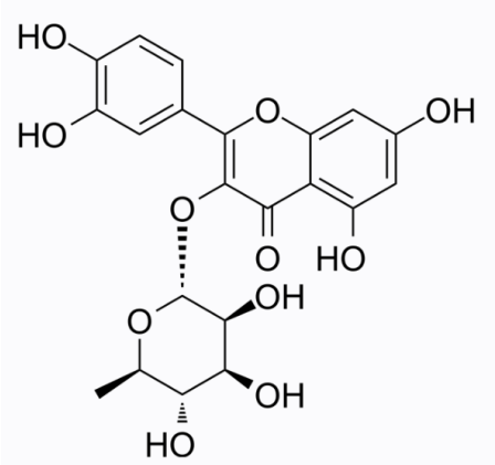 cas:522-12-3 Quercitrin 槲皮苷 cas:522-12-3 Quercitrin 槲皮苷