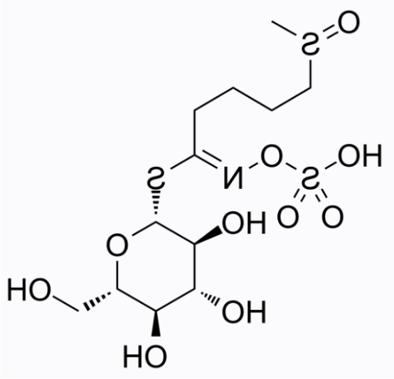 cas:21414-41-5 Glucoraphanin
