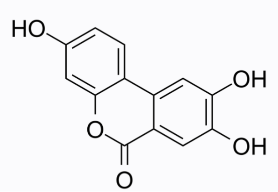 cas:165393-06-6 Urolithin