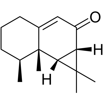 马兜铃酮	 