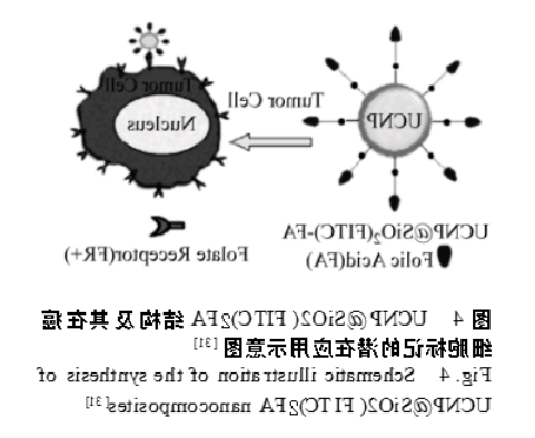 稀土掺杂上转换氟化物纳米材料 稀土掺杂上转换氟化物纳米材料