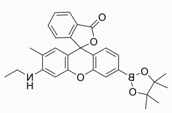 cas:1404091-23-1 NucPE1 