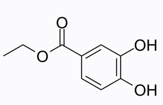 cas:3943-89-3 Ethyl 3,4-dihydroxybenzoate