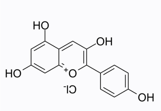 cas:134-04-3 Pelargonidin chloride