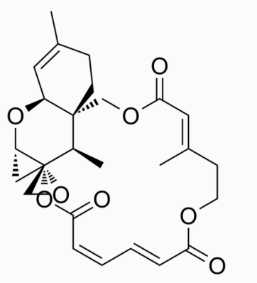 cas:4643-58-7 Verrucarin J