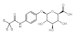 acetaminophen glucuronide 