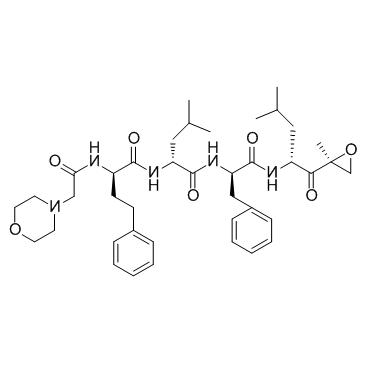 Carfilzomib 