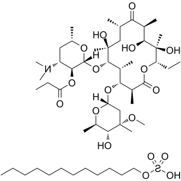 Erythromycin Estolate 