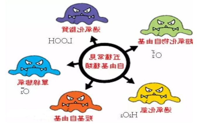 活性氧类
