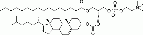 PChcPC PChcPC