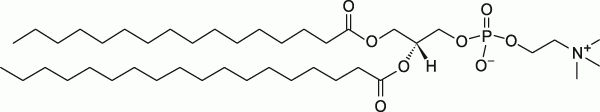 16:0-18:0 PC|1-palmitoyl-2-stearoyl-sn-glycero-3-phosphocholine|PC磷脂 16:0-18:0 PC|1-palmitoyl-2-stearoyl-sn-glycero-3-phosphocholine|PC磷脂