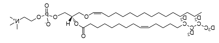 C16(plasm)-18:1(d9)|1-(1Z-hexadecenyl)-2-oleoyl(d9)-sn-glycero-3-phosphocholine Read More