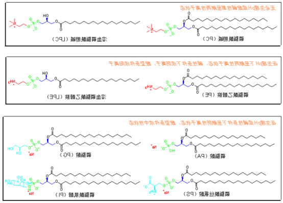 二硬脂酰基磷脂酰胆碱-腙键-二苯基环辛炔