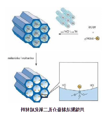 介孔二氧化硅接枝多肽 介孔二氧化硅接枝多肽