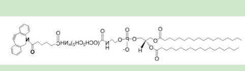 DSPE-PEG2K-DBCO DSPE-PEG2K-DBCO