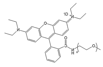 mPEG-Rhodamine，mPEG-RB，甲氧基-聚乙二醇-罗丹明